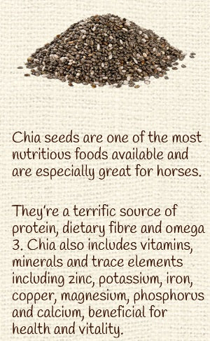 Horse Treat Equine Pure Delights Carrot Mint Turmeric Chia [:500gm]