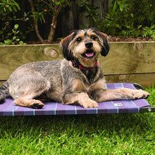 Kazoo Dog Collar Classic Adjustable Red [:extra Large]