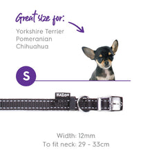 Kazoo Dog Collar Classic Black [:extra Large]