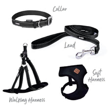 Kazoo Dog Collar Classic Black [:extra Large]