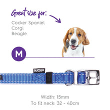 Kazoo Dog Collar Classic Blue [:extra Large]