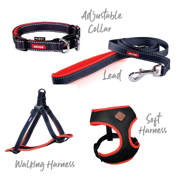 Kazoo Dog Collar Active Adjustable Slate & Orange [:extra Large]
