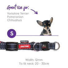 Kazoo Dog Collar Active Adjustable Slate & Orange [:extra Large]