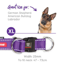 Kazoo Dog Collar Active Adjustable Purple & Lime [:extra Large]