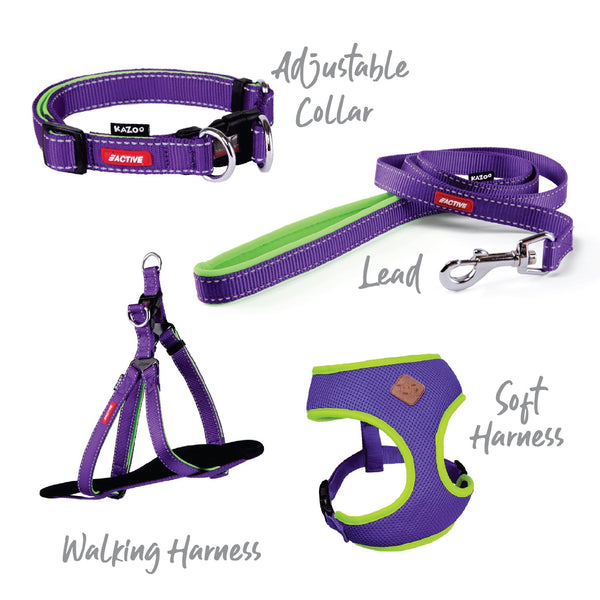 Kazoo Dog Collar Active Adjustable Purple & Lime [:extra Large]