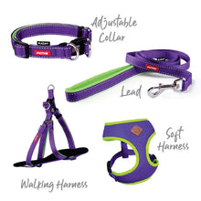 Kazoo Dog Collar Active Adjustable Purple & Lime [:extra Large]