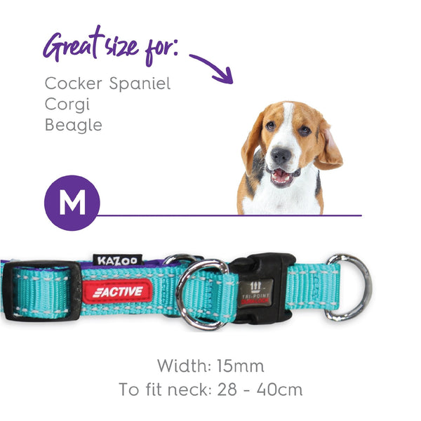 Kazoo Dog Collar Active Adjustable Aqua & Purple [:extra Large]