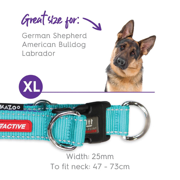 Kazoo Dog Collar Active Adjustable Aqua & Purple [:extra Large]