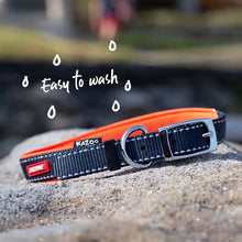 Kazoo Dog Collar Active Slate & Orange [:extra Large]