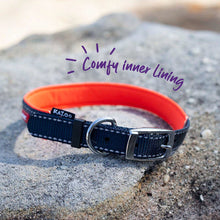 Kazoo Dog Collar Active Slate & Orange [:extra Large]