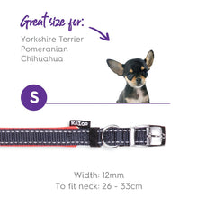 Kazoo Dog Collar Active Slate & Orange [:extra Large]