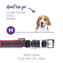 Kazoo Dog Collar Active Slate & Orange [:extra Large]