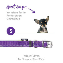 Kazoo Dog Collar Active Purple & Lime [:extra Large]
