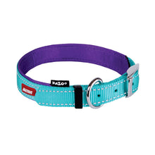 Kazoo Dog Collar Active Aqua & Purple [:extra Large]