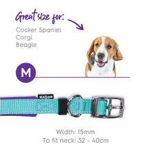 Kazoo Dog Collar Active Aqua & Purple [:extra Large]