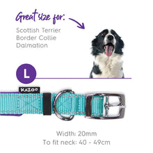 Kazoo Dog Collar Active Aqua & Purple [:extra Large]