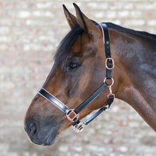 Headstall Leather Rose Gold Black [:cob]