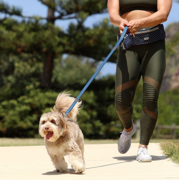 Doog Walkie Belt Navy Polka Dot