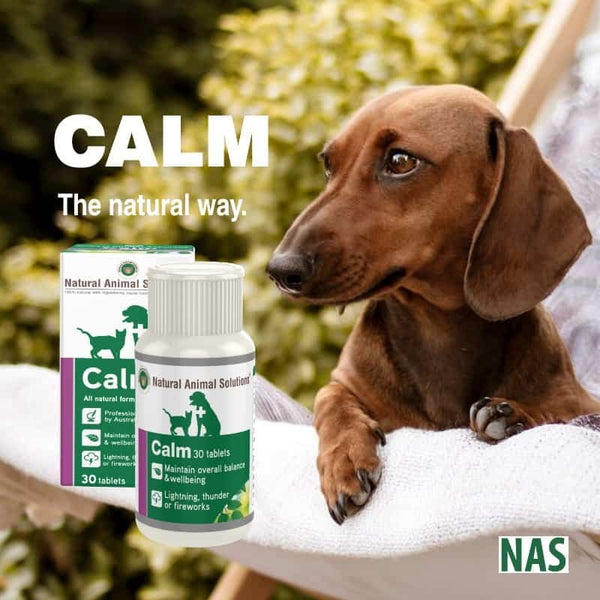 Natural Animal Solutions Calm 30 Tablets