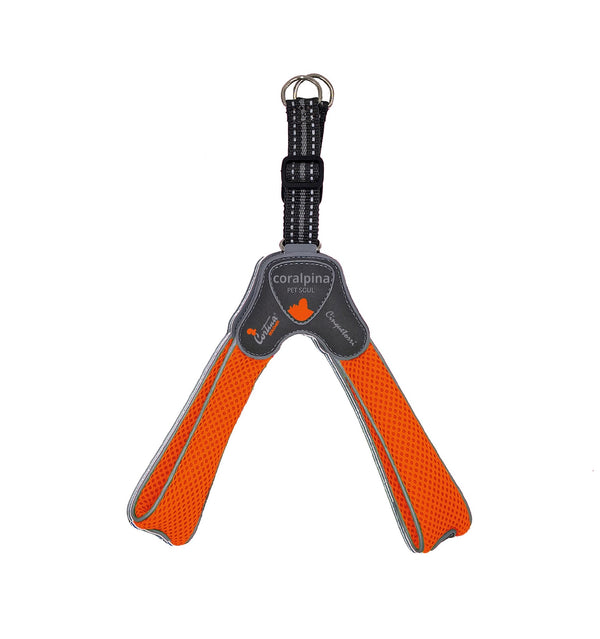 Coralpina Harness Cinquetorri Orange [:4]