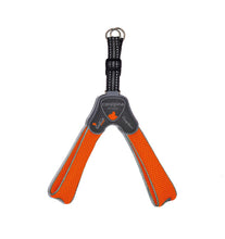 Coralpina Harness Cinquetorri Orange [:4]