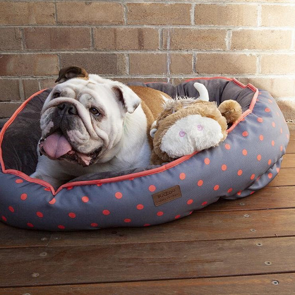 Kazoo Dog Toy Furries Lazy Ox [:large]