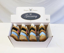 Brush Dandy Huntington Multi Colour