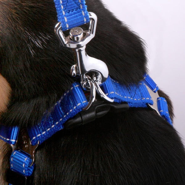 Kazoo Dog Leash Classic Blue 1800mm [:15mm]