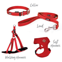 Kazoo Dog Leash Classic Red 1800mm [:15mm]