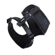 Kazoo Harness Soft Classic Black [:extra Small]