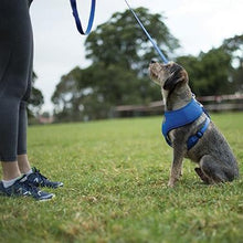 Kazoo Harness Soft Classic Blue [:xxs]