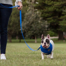 Kazoo Harness Soft Classic Blue [:xxs]
