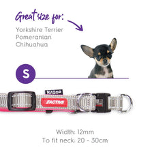 Kazoo Dog Collar Active Adjustable Silver & Pink [:extra Large]