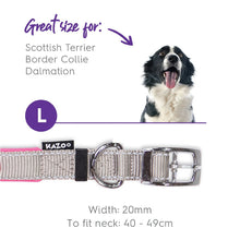 Kazoo Dog Collar Active Silver & Pink [:extra Large]