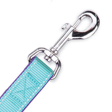 Kazoo Dog Leash Active Aqua & Purple 1800mm [:15mm]