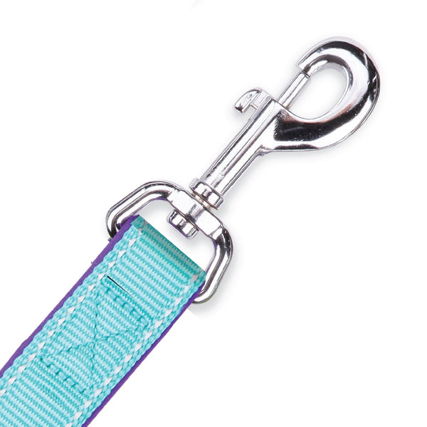 Kazoo Dog Leash Active Aqua & Purple 1800mm [:15mm]