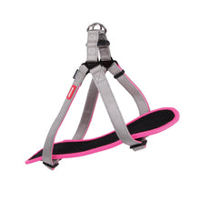 Kazoo Harness Active Silver & Pink [:large/extra Large]