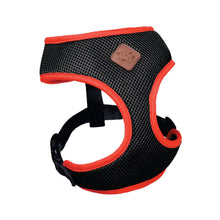 Kazoo Harness Active Slate & Orange [:xxs]