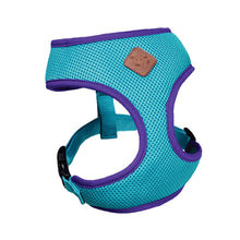 Kazoo Harness Active Soft Aqua & Purple [:xxs]