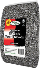 Green Valley Grains Black Sunflower 3.2kg 