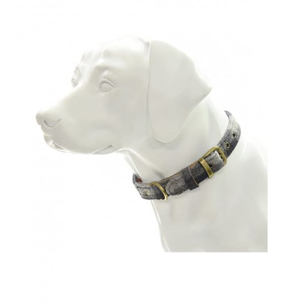 Tweedmill Tweed Dog Collar Navy Check [:medium]