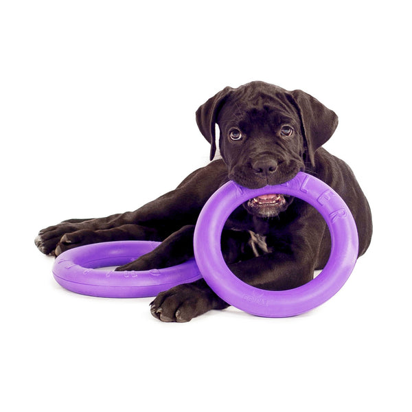 Sassbai Toy Puller [:mini]