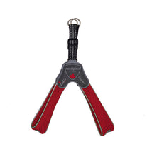 Harness Dog Coralpina Cinquetorri Red