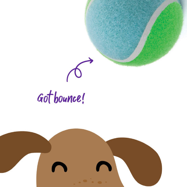 Kazoo Dog Toy Tennis Ball [:large]