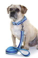 Doog Dog Collar Pluto [:extra Small]