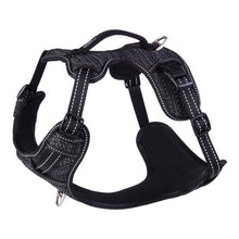 Rogz Harness Explore Black [:extra Large]