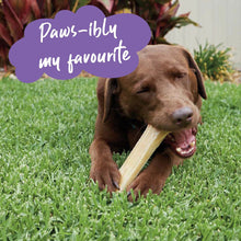 Kazoo Treat Rawhide Pressed Bone 20cm Pack Of 4