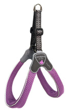 Coralpina Harness Cinquetorri Lilac [:5]