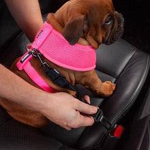 Kazoo Harness Soft Classic Pink [:xxs]