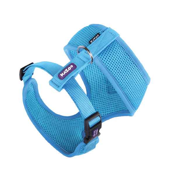 Kazoo Harness Soft Classic Aqua [:xxs]
